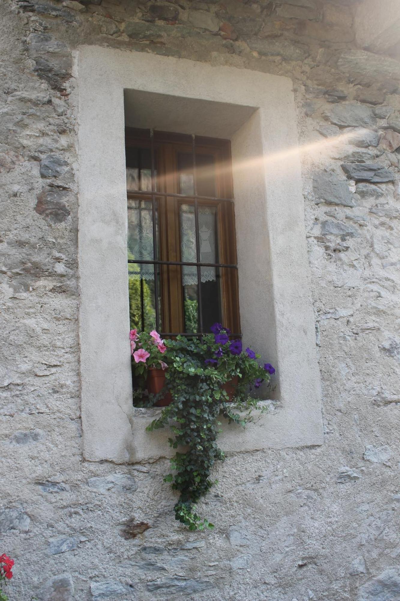 La Maison Des Vignerons Chambres D'Hotes B&B Donnaz Dış mekan fotoğraf