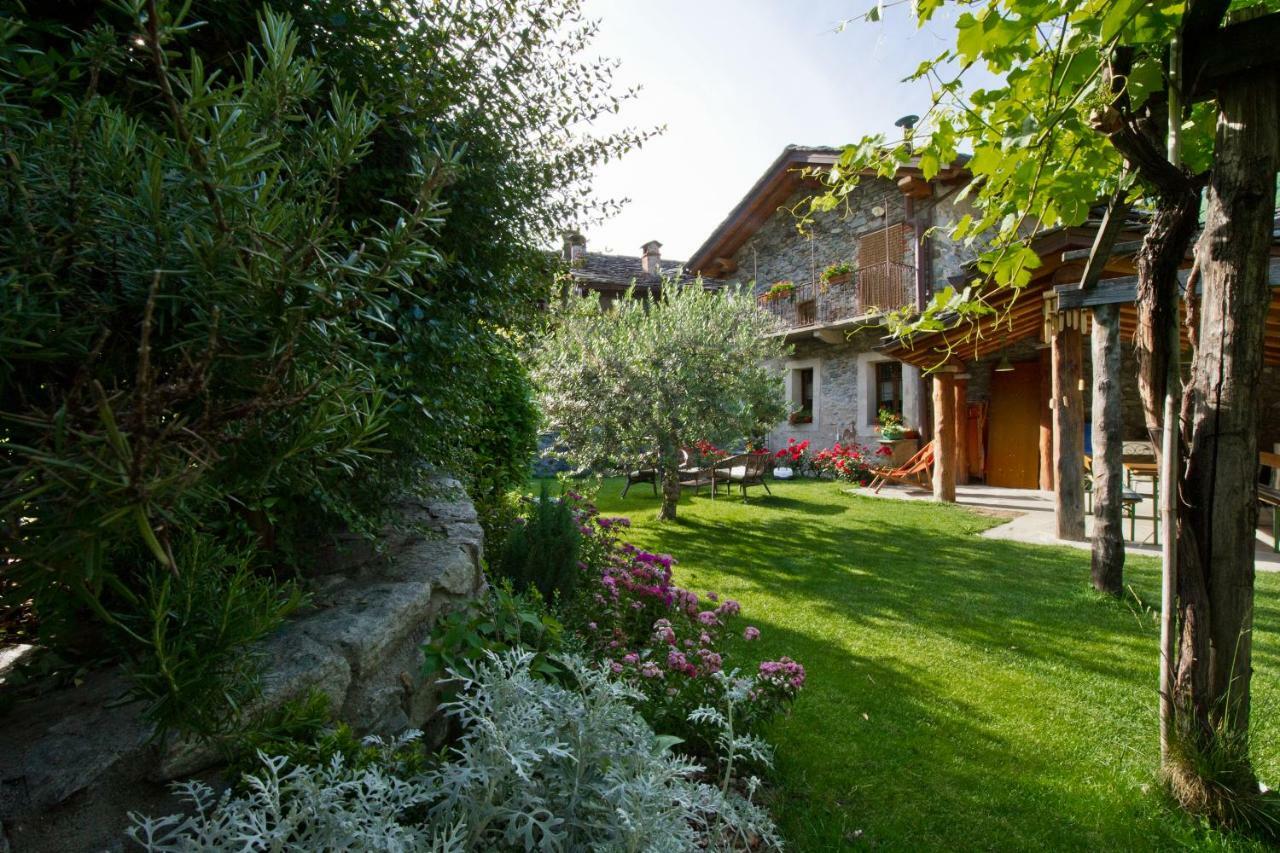 La Maison Des Vignerons Chambres D'Hotes B&B Donnaz Dış mekan fotoğraf