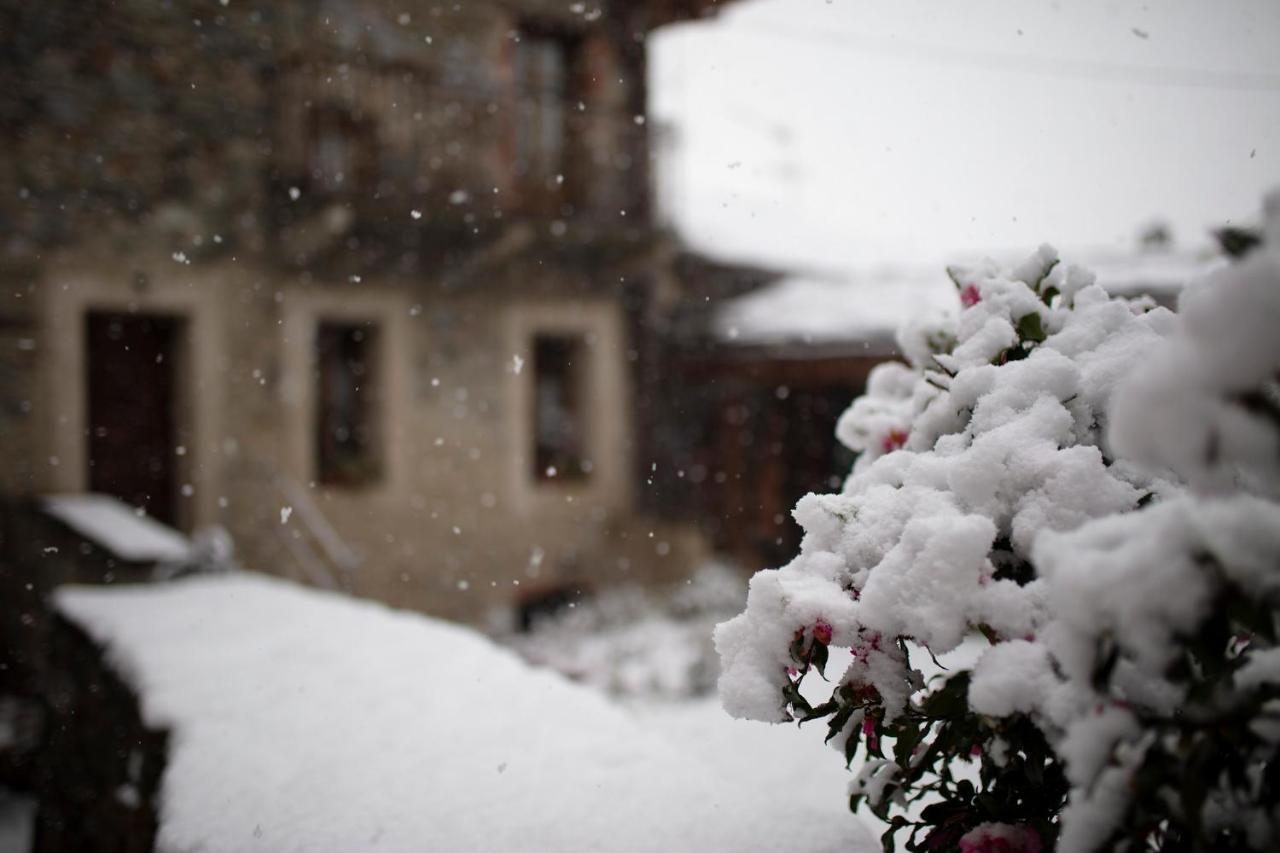 La Maison Des Vignerons Chambres D'Hotes B&B Donnaz Dış mekan fotoğraf
